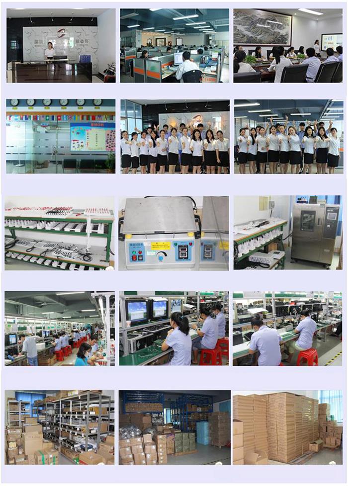 Language Translation Pen Adult Read Pen